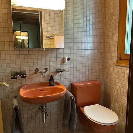 Rose - Einfamilienhaus * إنترلاكن