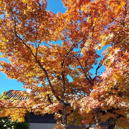 Ferienhaus Rose - Einfamilienhaus Interlaken
