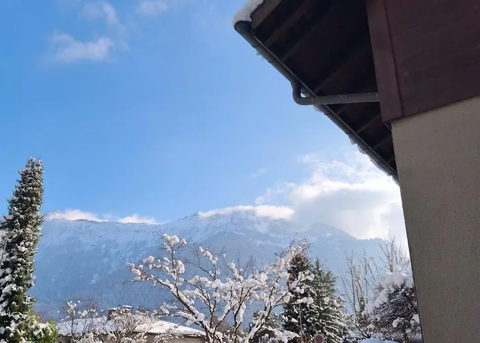 Rose - Einfamilienhaus *