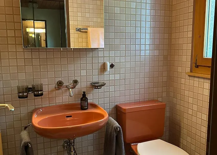 Rose - Einfamilienhaus * Інтерлакен